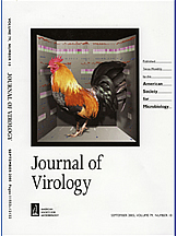 Journal of Virology